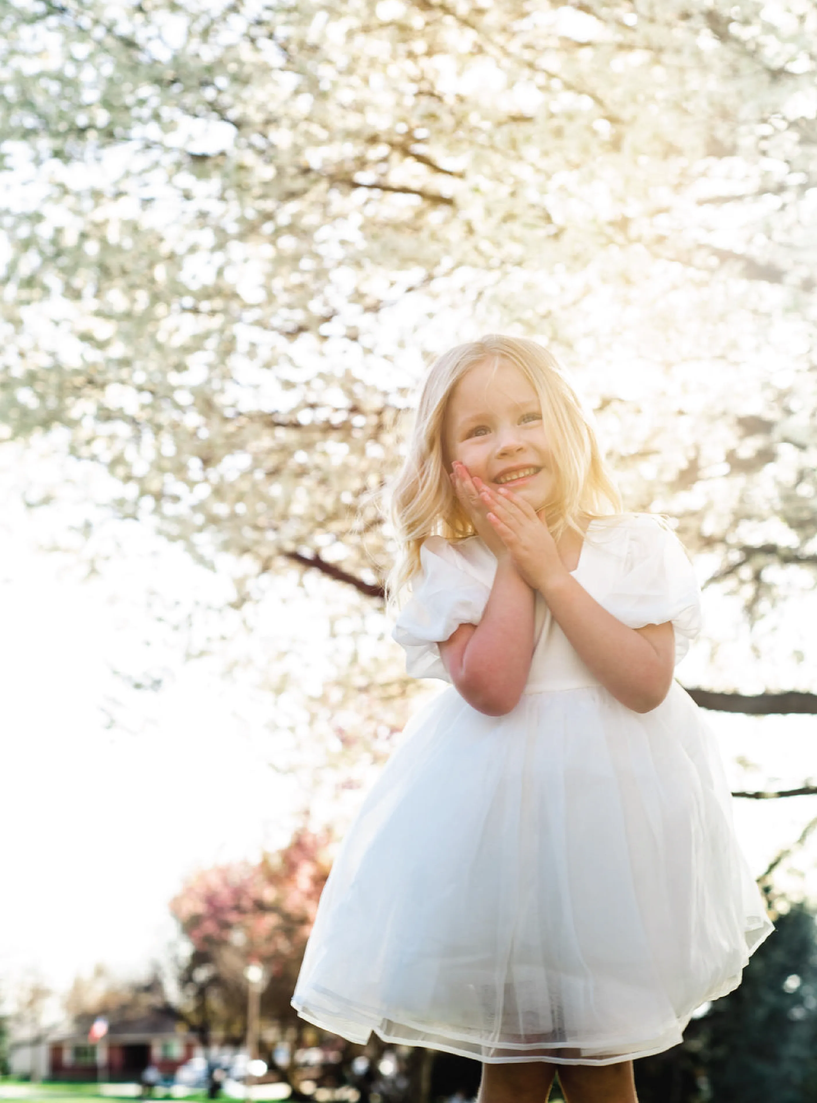 Baby Breath Puff Dress