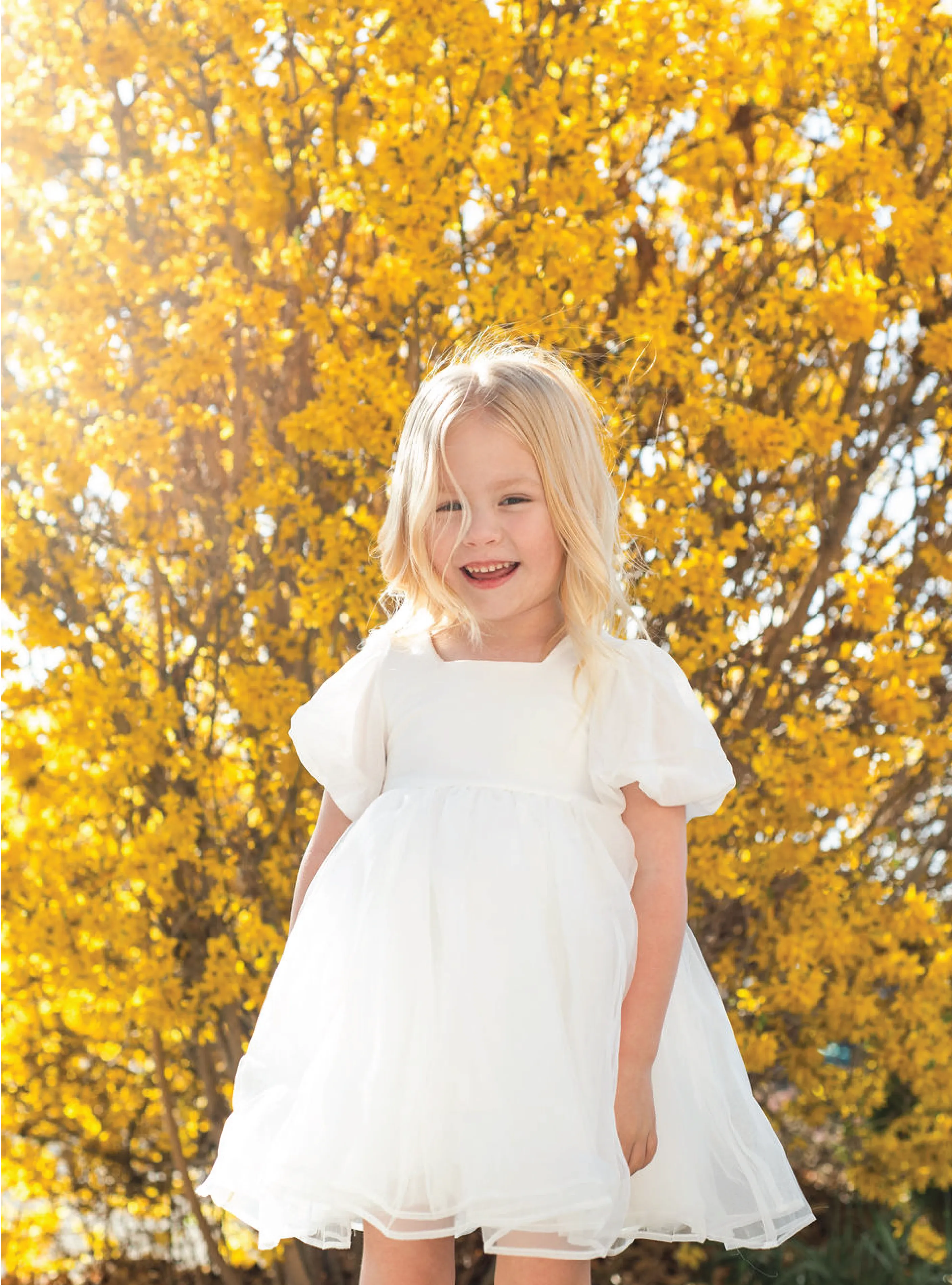 Baby Breath Puff Dress