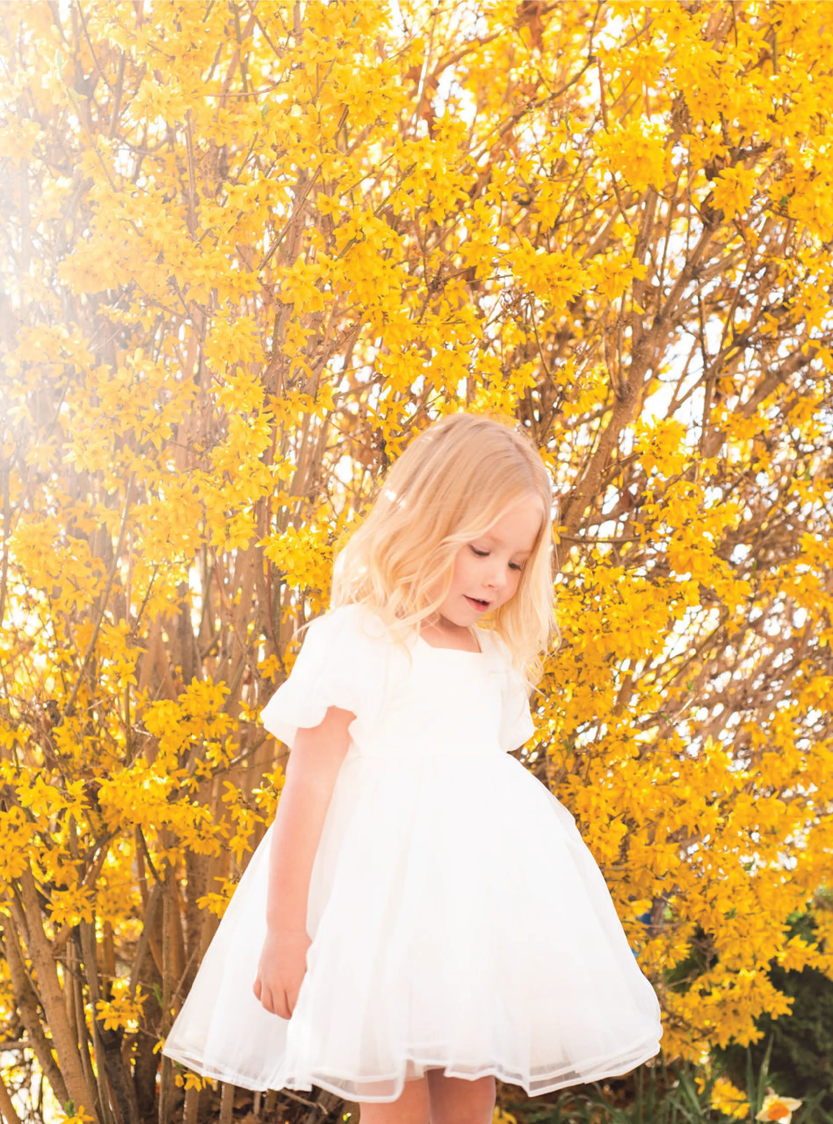 Baby Breath Puff Dress