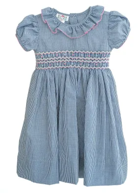 Navy and Pink Charlotte Dress